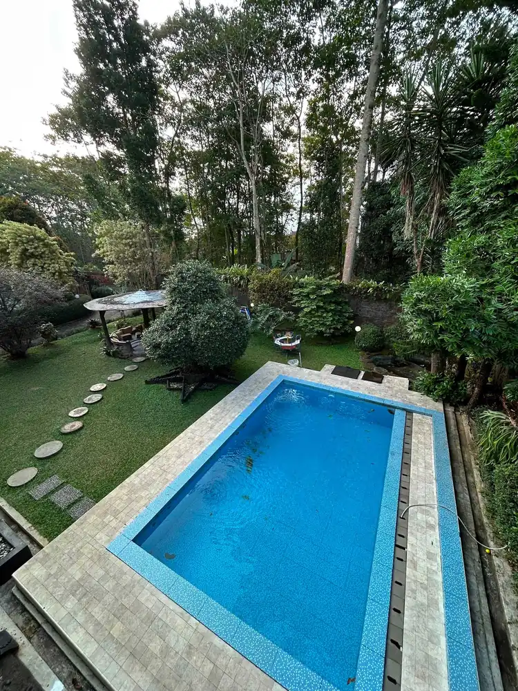 Private pool in a garden of tall trees at Al Andalus 1 & 2